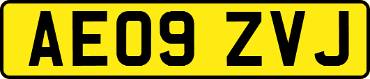 AE09ZVJ