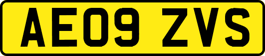 AE09ZVS