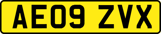 AE09ZVX