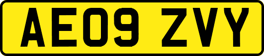 AE09ZVY