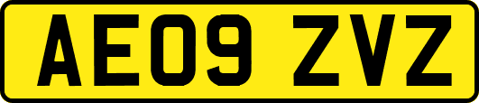 AE09ZVZ