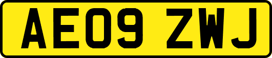 AE09ZWJ