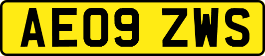 AE09ZWS