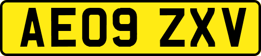 AE09ZXV