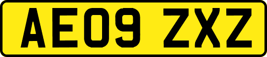 AE09ZXZ