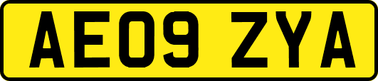 AE09ZYA