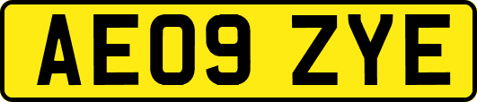 AE09ZYE