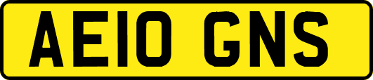 AE10GNS