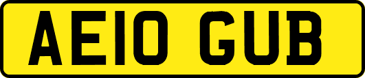 AE10GUB