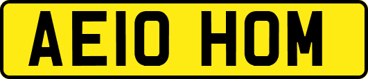 AE10HOM