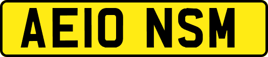 AE10NSM