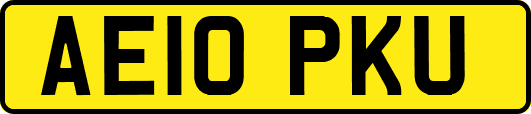 AE10PKU