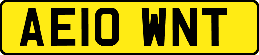 AE10WNT