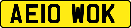AE10WOK