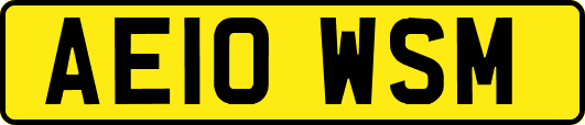 AE10WSM