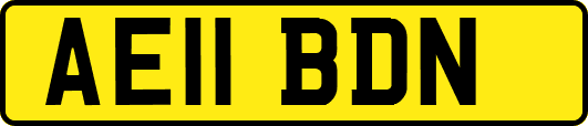 AE11BDN