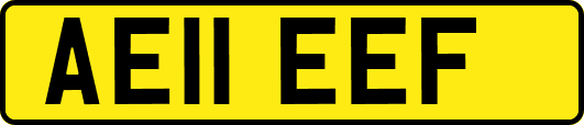 AE11EEF