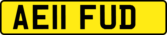 AE11FUD