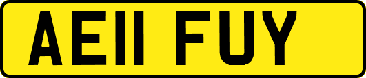 AE11FUY