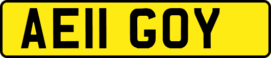 AE11GOY