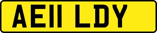 AE11LDY