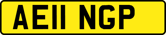AE11NGP