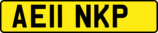 AE11NKP