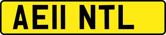 AE11NTL