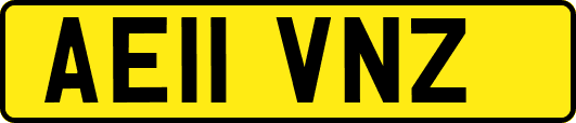 AE11VNZ