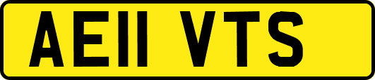 AE11VTS