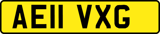 AE11VXG
