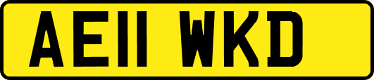 AE11WKD