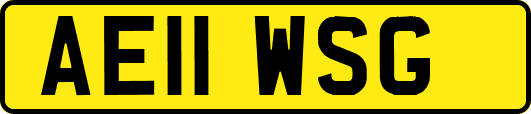 AE11WSG