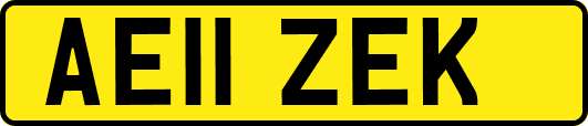 AE11ZEK