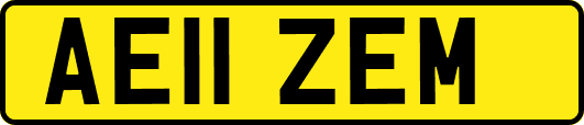 AE11ZEM