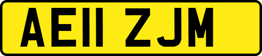 AE11ZJM