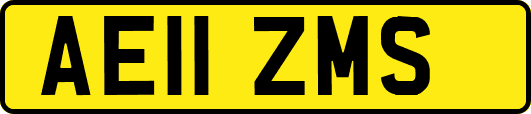 AE11ZMS