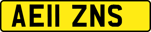 AE11ZNS