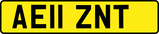 AE11ZNT