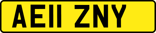 AE11ZNY