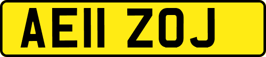 AE11ZOJ