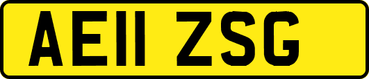 AE11ZSG