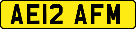 AE12AFM