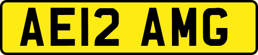 AE12AMG