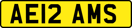 AE12AMS