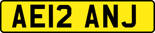AE12ANJ