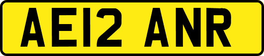 AE12ANR