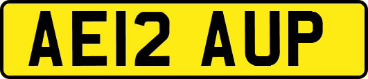 AE12AUP