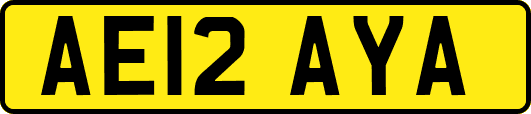 AE12AYA