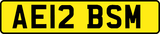 AE12BSM